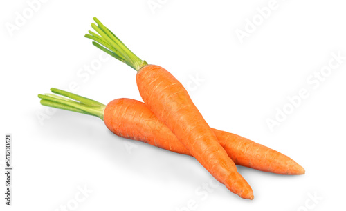A sweet fresh orange carrot