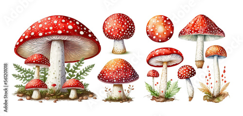 Obraz na płótnie Set of watercolor amanita muscaria mushrooms isolated on white