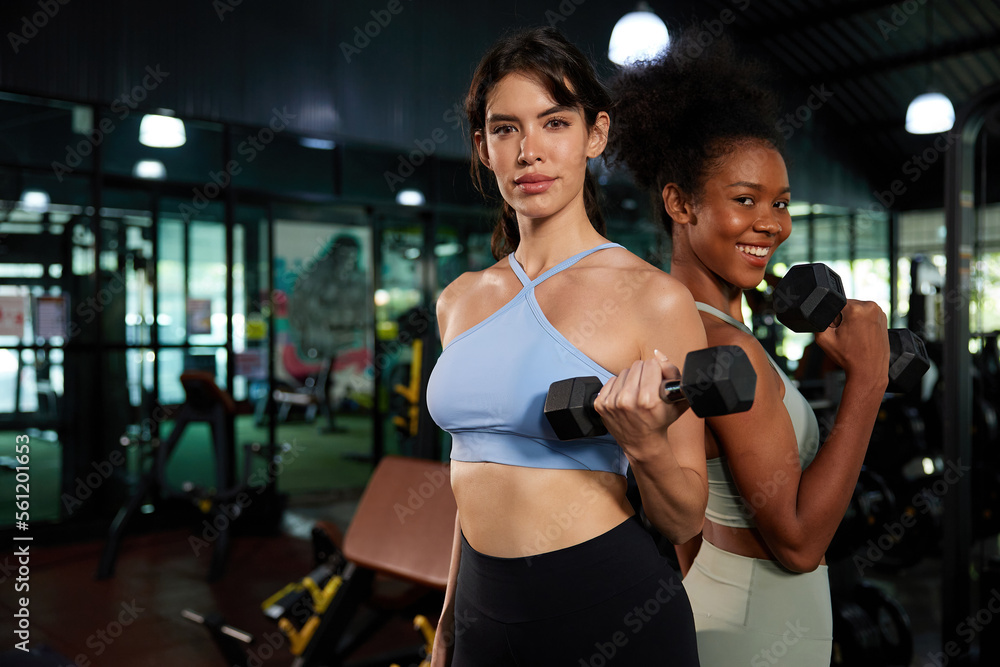 Fototapeta premium young athletic women smiling and lifting dumbbell in the gym
