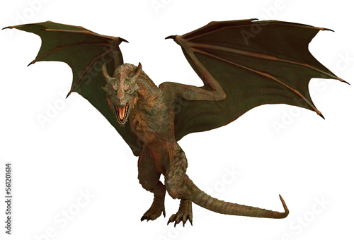 green dragon wyvern fantasy creature