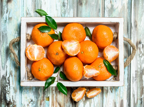 Fresh ripe mandarins with leaves in tray.