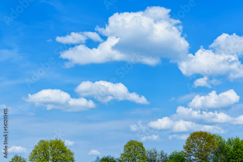Fototapeta Naklejka Na Ścianę i Meble -  Białe chmury na tle błękitnego nieba