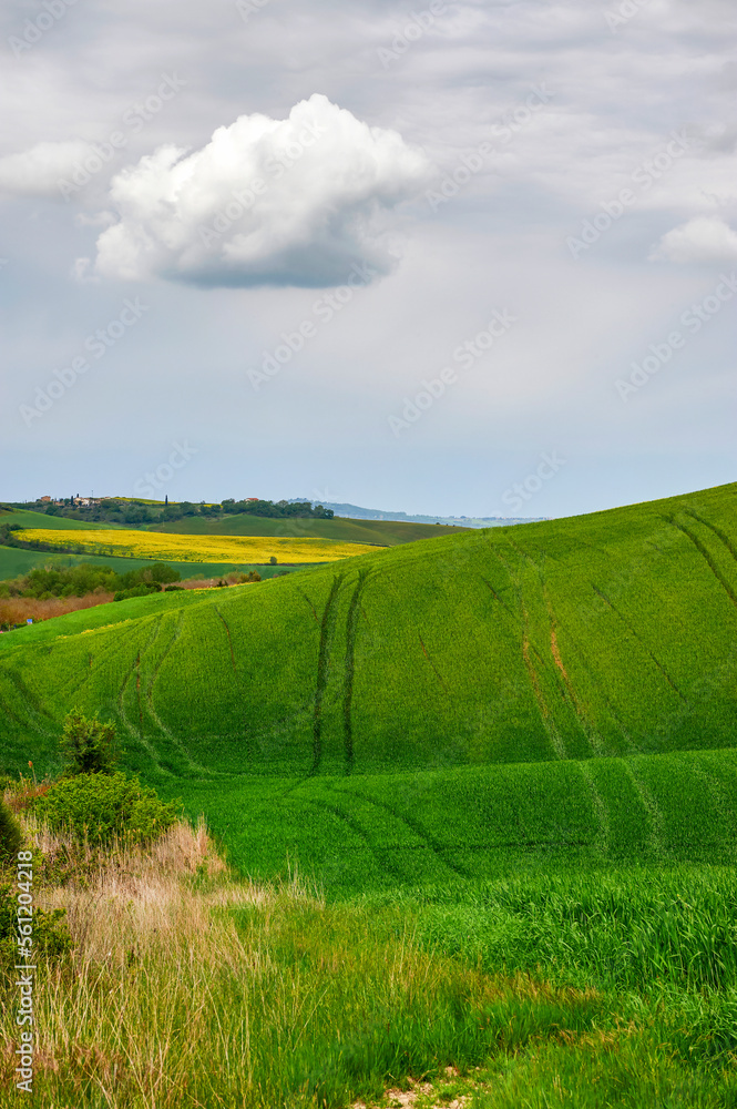 Spring landscape in the rolling hills of Tuscany