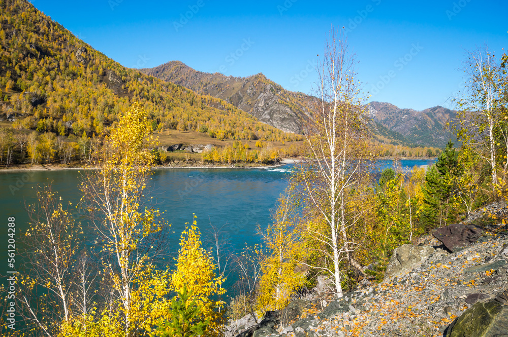 View of river Katun and Altay mountains View of river Katun and Altay mountains