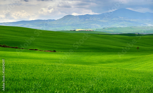 Spring landscape in the rolling hills of Tuscany