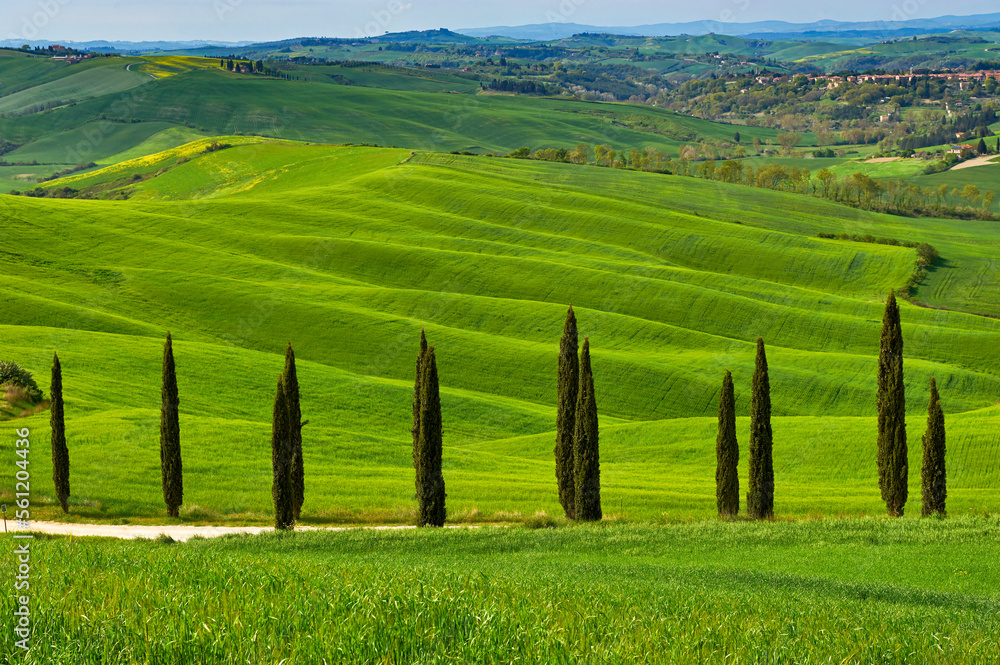 Spring landscape in the rolling hills of Tuscany