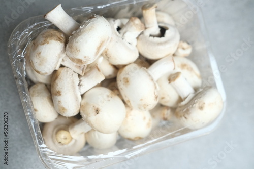 Champignon mushrooms in the plastic box at the grey background 