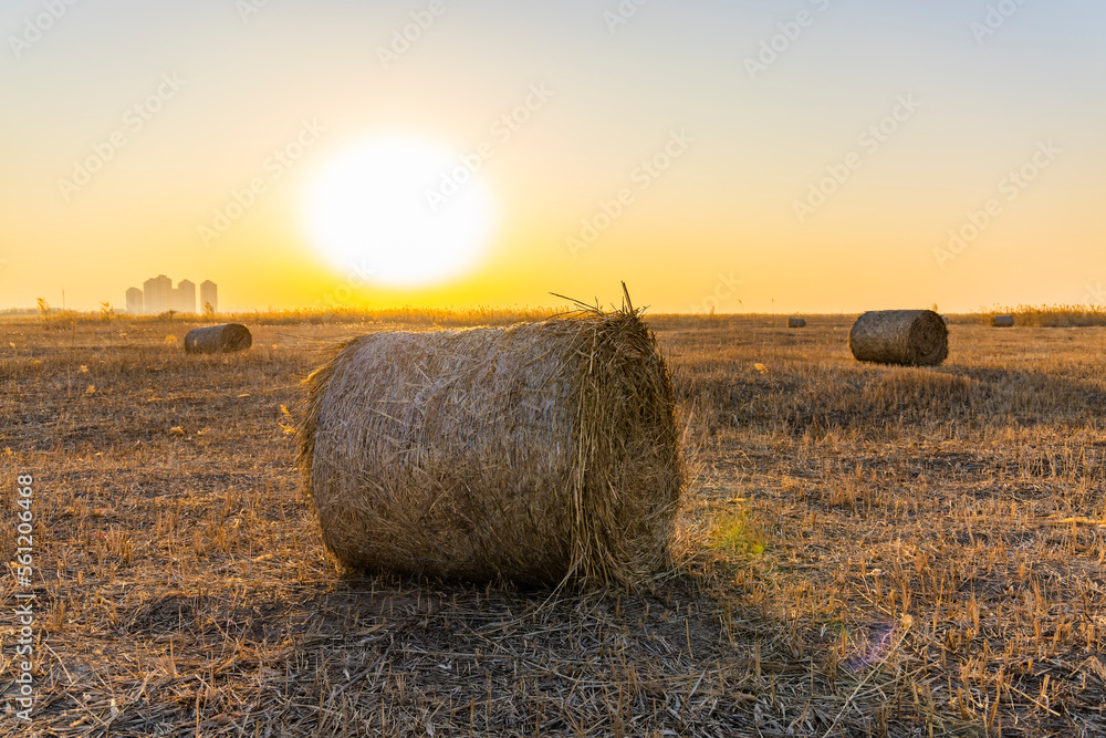 A haystack in a meadow that had been mowed in the evening