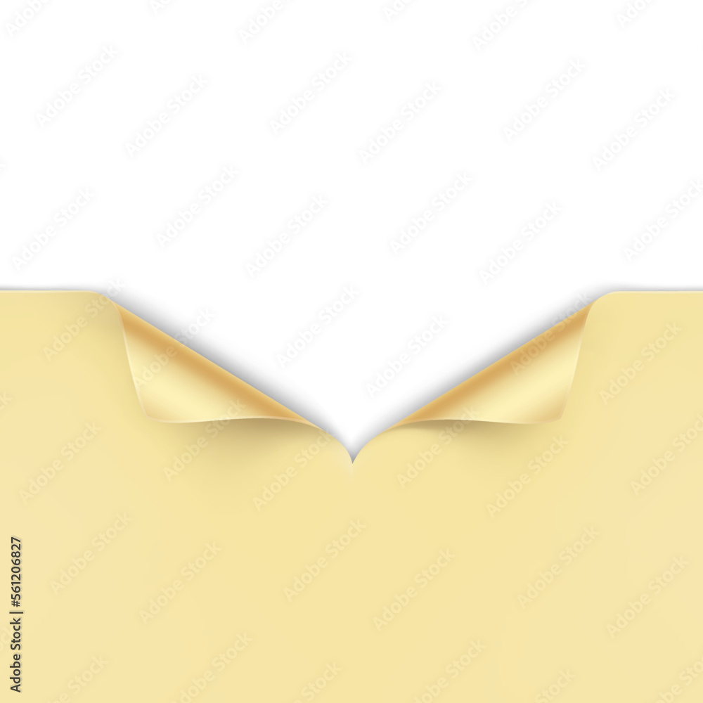 A cut and curled paper. Great for displaying a hidden image. Vector illustration isolated on white background. Can be use for template your design, presentation, promo, ad. EPS10. A cut and curled paper. Great for displaying a hidden image. Vector illustration isolated on white background. Can be use for template your design, presentation, promo, ad. EPS10.