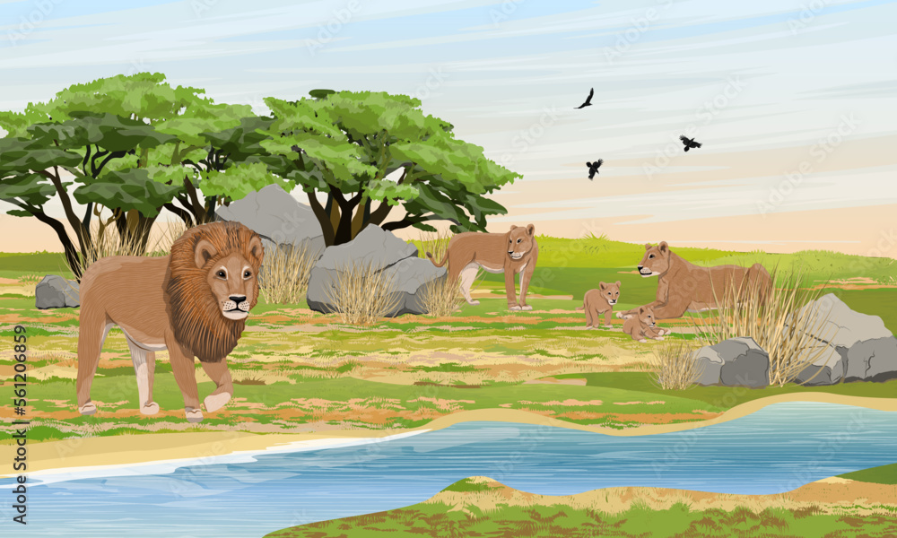 A flock of lions is resting on the bank of a stream. Pride of lion, lionesses and their cubs. Wildlife of Africa. Realistic vector landscape - obrazy, fototapety, plakaty 