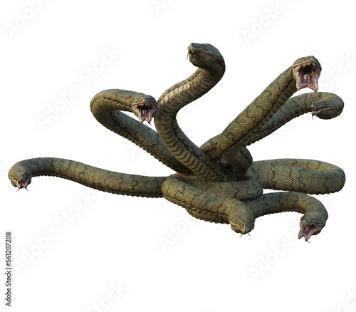 snake hydra 3d render