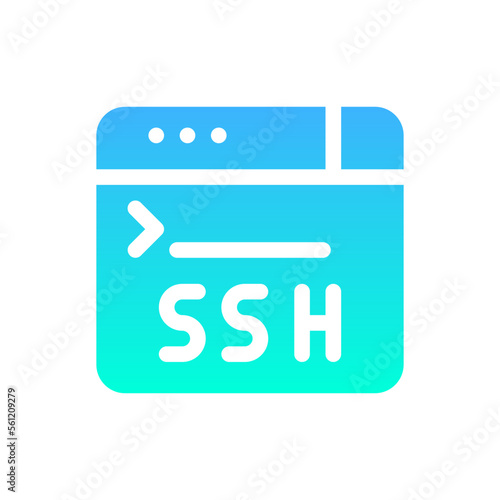 ssh flat gradient icon photo