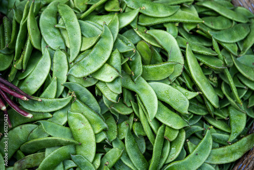 Green raw Hyacinth Lablab broad beans 