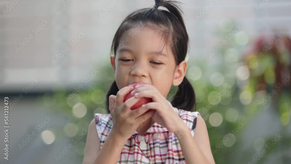 A cute Asian Thai kid girl aged 6 to 8 years old, looks healthy, holding an apple in her hand. She is eating apples. she likes to eat fruit Make her grow and be healthy. She happily eats apples. A cute Asian Thai kid girl aged 6 to 8 years old, looks healthy, holding an apple in her hand. She is eating apples. she likes to eat fruit Make her grow and be healthy. She happily eats apples.