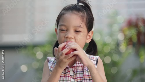 A cute Asian Thai kid girl aged 6 to 8 years old, looks healthy, holding an apple in her hand. She is eating apples. she likes to eat fruit Make her grow and be healthy. She happily eats apples. photo