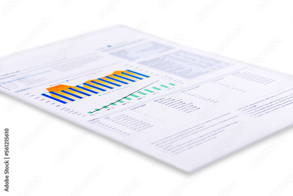 Project Plan Printout with chart Project Plan Printout with chart