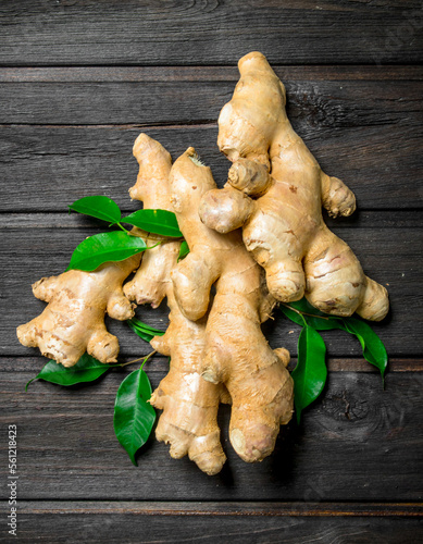 Fresh ginger with leaves.