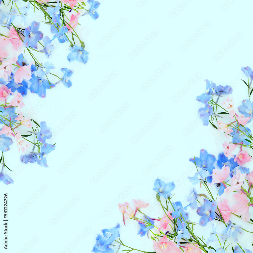 Delphinium wild flower abstract background border on pastel blue. Summer flora delicate minimal nature border composition. Used in herbal medicine as a sedative and for poor appetite.