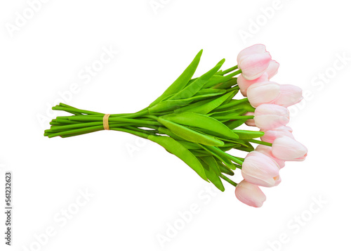 tulips for cards
