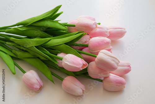 pink tulips