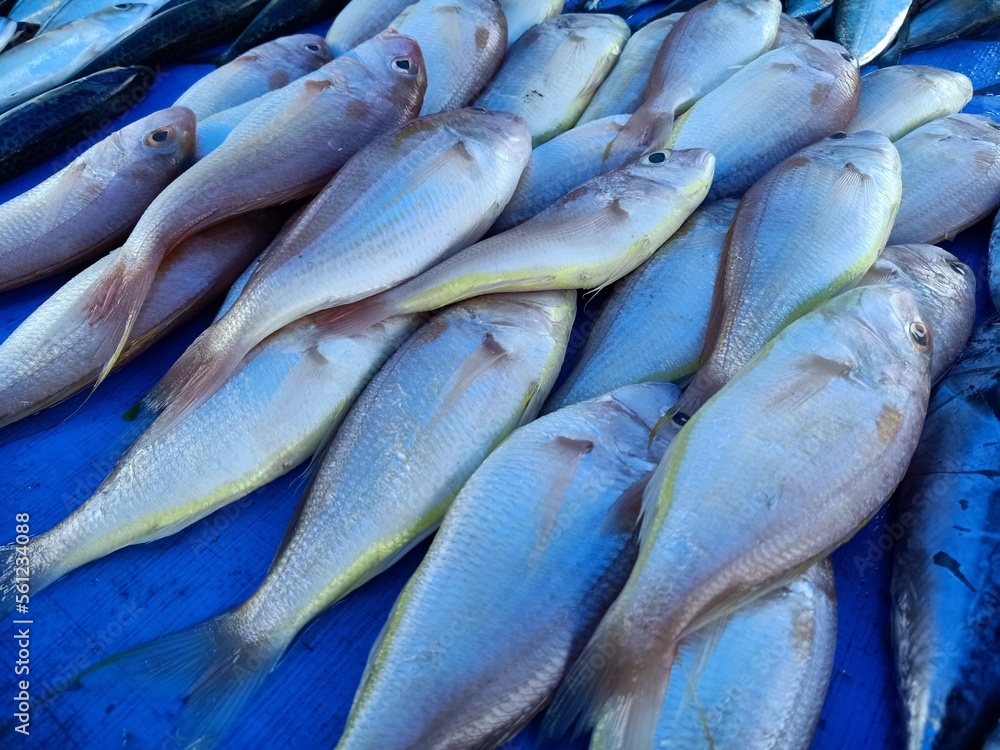 Obraz premium a view of local market of cheap fishes in aceh indonesia
