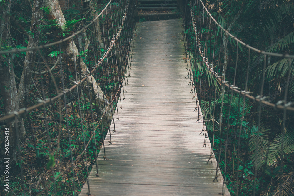 Wooden suspension bridge with sling