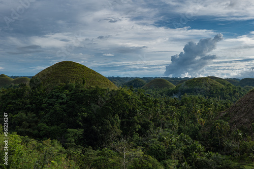 Chocolate hills on the island of Bohol  Philippines