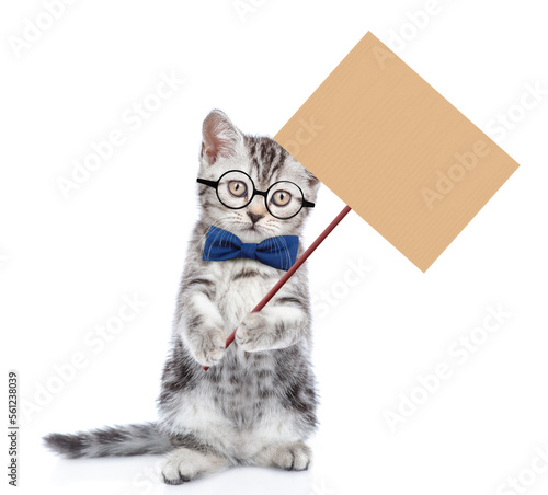 Funny smart kitten wearing eyeglasses and tie bow standing on hind legs, looks at camera and shows empty placard. isolated on white background