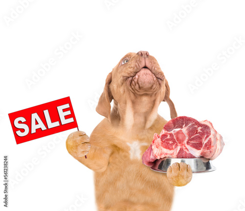 Funny puppy holds bowl of raw meat and shows signboard with labeled 