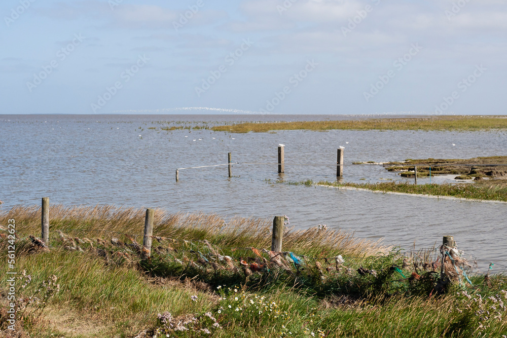 Uitzicht op Waddenzee, View at Wadden Sea