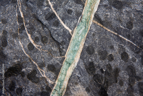 Quartz veins on a bedrock slab found on the west slope of the Great Nunatak outside Valdez, Alaska.