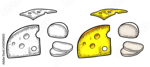 Pieces of cheese. Vector vintage engraving illustration isolated on white