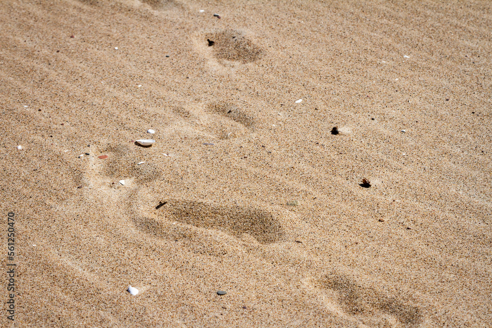 Beach sand texture Beach sand texture