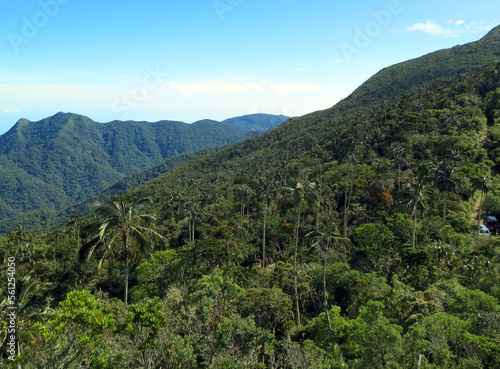 San Lorenzo ridge; El Dorado Bird reserve, Sierra Nevada, Santa Marta Mountains, Colombia