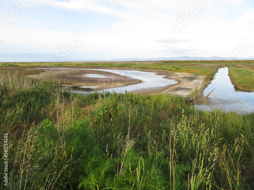 Robert Findlay Wildlife Reserve, Miranda, New Zealand