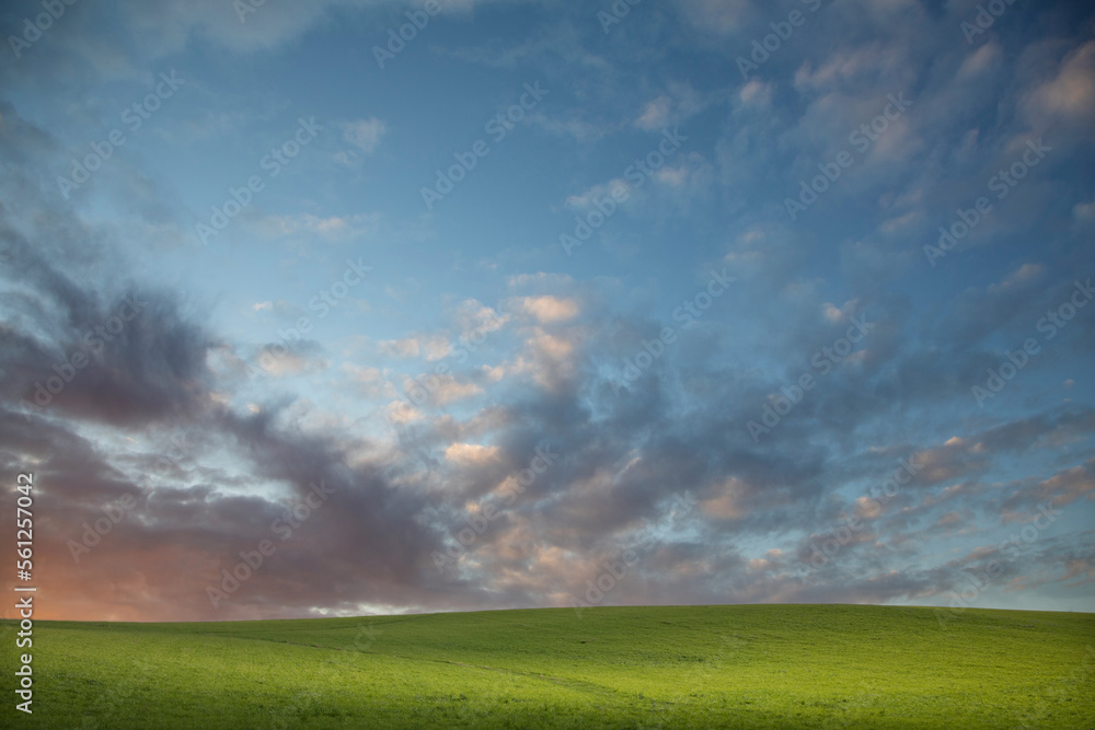 Landscape in  Denmark north of Copenhagen with a grass field