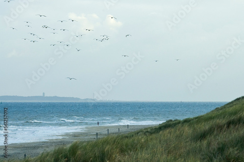 Waddeneiland Vlieland  Nederland   Nederlands