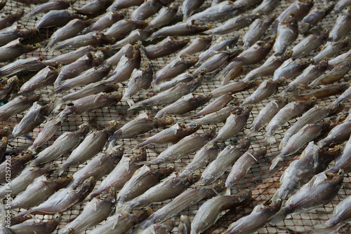 Aerial view group of salty fish dried by the heat of sun