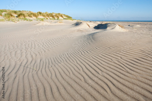 Strand en duinen oostpunt, Vlieland (Nederland / Netherlands) photo
