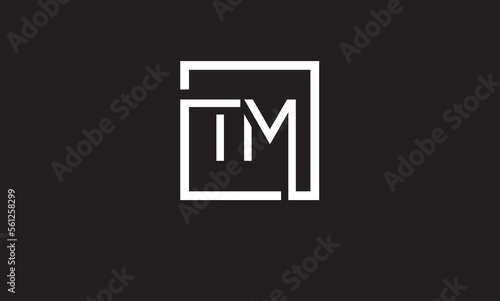 TM,  MT,  T,  M   Abstract  Letters  Logo  Monogram