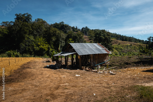 Old shack next to a field in Thailand countryside