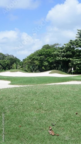 Vertical video featuring bunker and greens of a golf course in the tropics on a sunny day in Mexico