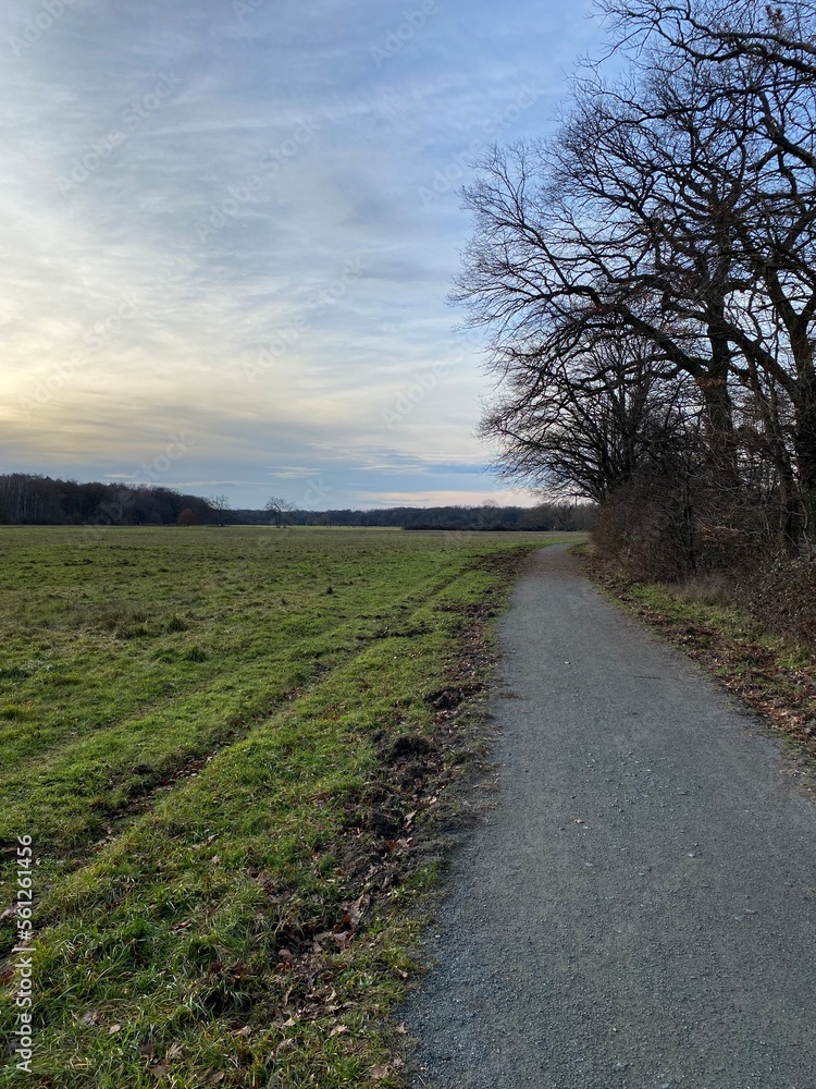 Road in a field on a winter day on Schwanheim Meadow Road in a field on a winter day on Schwanheim Meadow