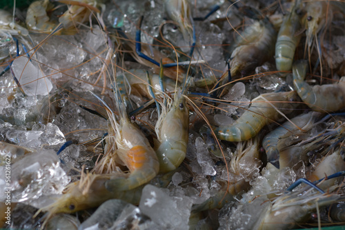 Prawns are fresh shrimps used for seafood.