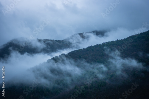 Niebla sobre bosque montañoso © Neouen