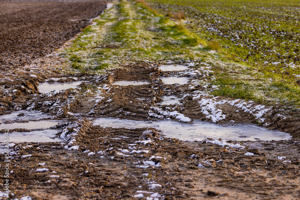 Fototapeta premium A path in winter with grass and frozen water puddles