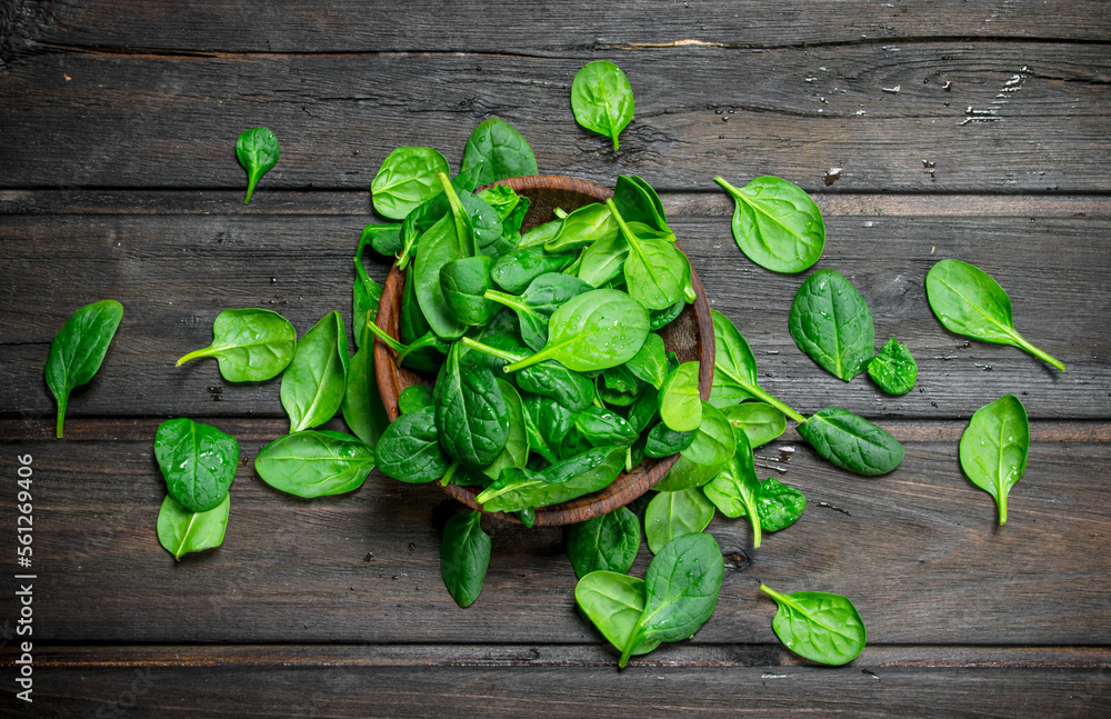 Fototapeta premium Green spinach in bowl.