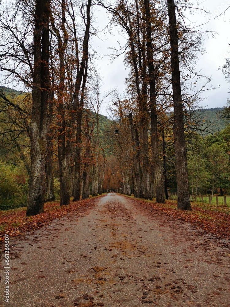 The Beautiful Scenery of Bosnia Herzegovina The Beautiful Scenery of Bosnia Herzegovina