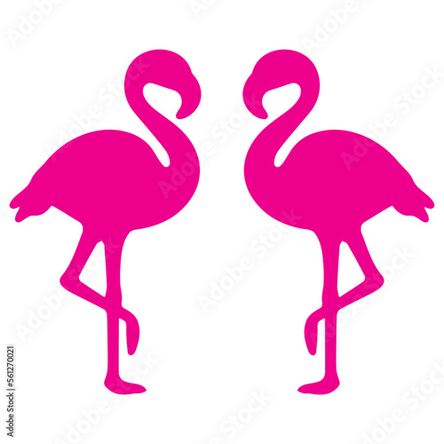 Illustration of a pink flamingo