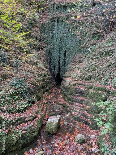 Hinter den grünen Blättern befindet sich der Eingang zur Höhle Goldloch am Rande des Dorfes Lenningen-Schlattstall im Lenninger Tal. Die Höhle befindet sich im Gestein der Schwäbischen Alb. photo